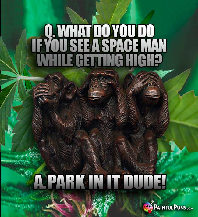 Q. What do you do if you see a space man while getting high? A. Park in it Dude!