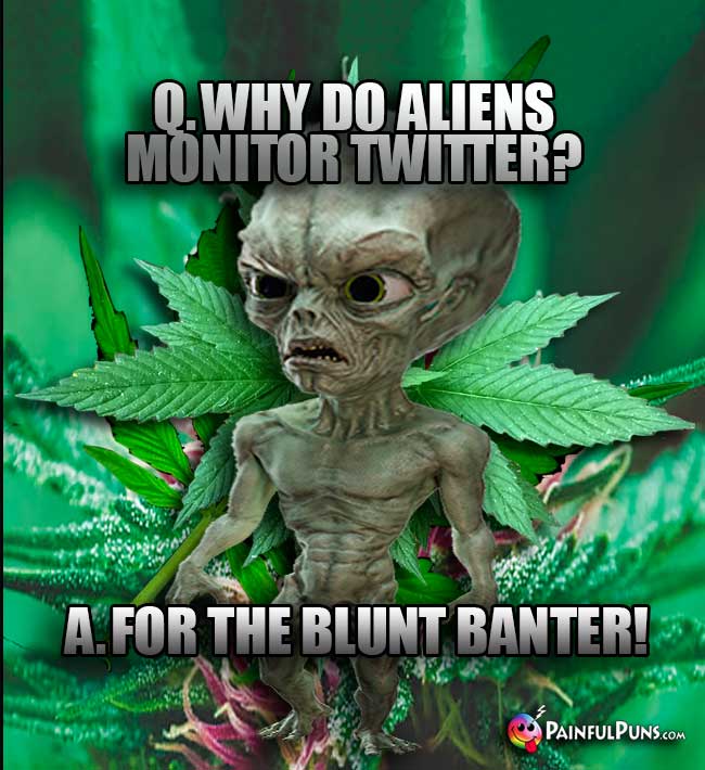 Q. Why do aliens monitor Twitter? A. For the blunt banter!