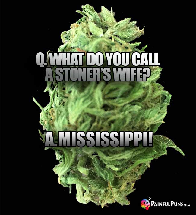Q. What do you call a stoner's wife? A. Mississippi!