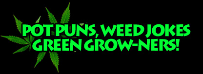 Pot Puns, Weed Jokes, Green Grow-ners!