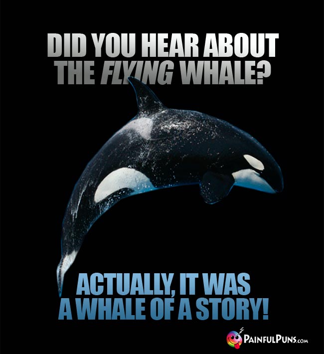 Q. Did you hear about the flying whale? A. Actually, it was a whale of a  story!