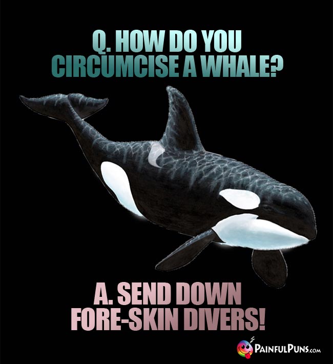 Q. How do you circumcise a whale? A. Send down fore-skin divers!