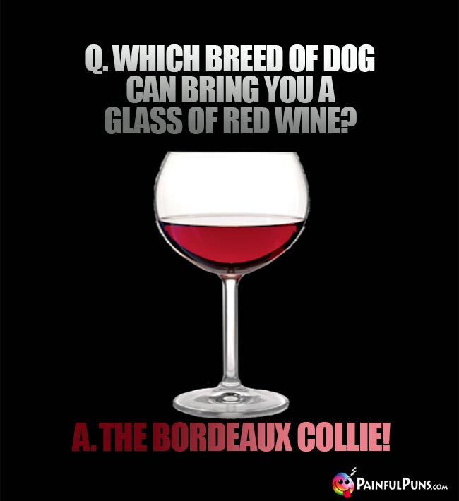 Wine Humor: Q. Which breed of dog can bring you a glass of red wine? A. The bordeaux vollie!
