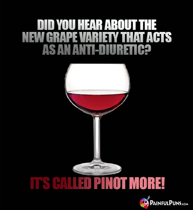 Wine Joke: Did you hear about the new grape variety that acts as an anti-diuretic? It's called Pinot More!