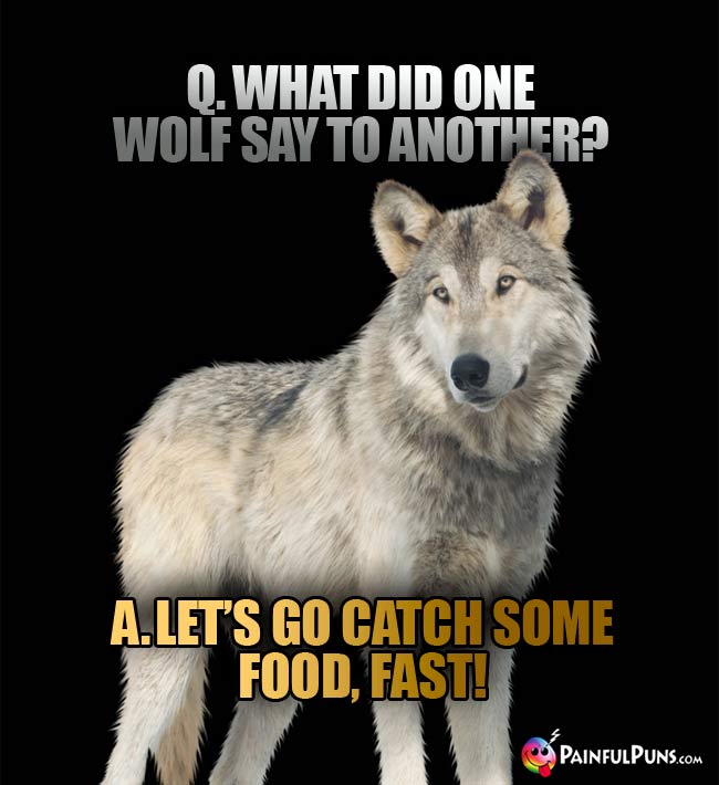 Q. What did one wolf say to another: A. Let's go catch some food, fast!