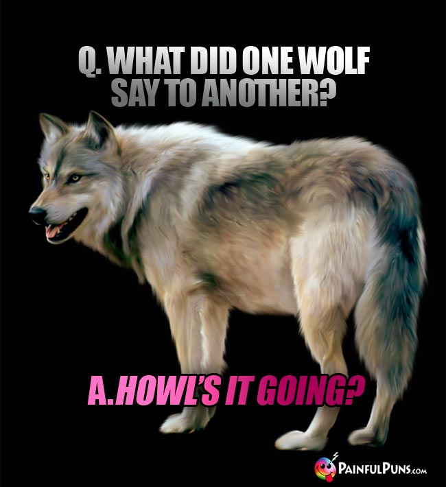 Q. What did one wolf say to another? A. Howl's it going!