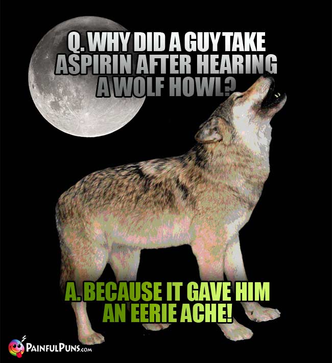 Q. Why did a guy take aspirin after hearing a wolf howl? A. because it gave him an eerie ache!
