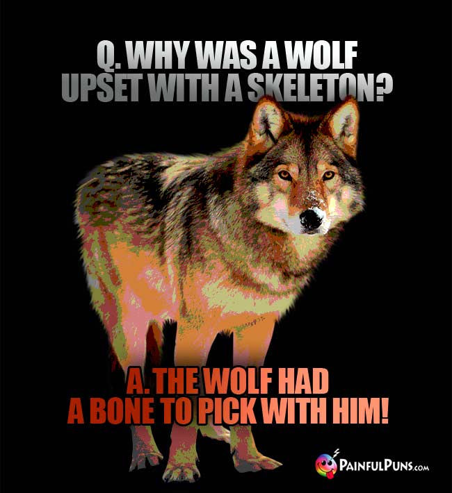 Q. Why was a wolf upset with a skeleton? a. The wolf had a bone to pick with him!
