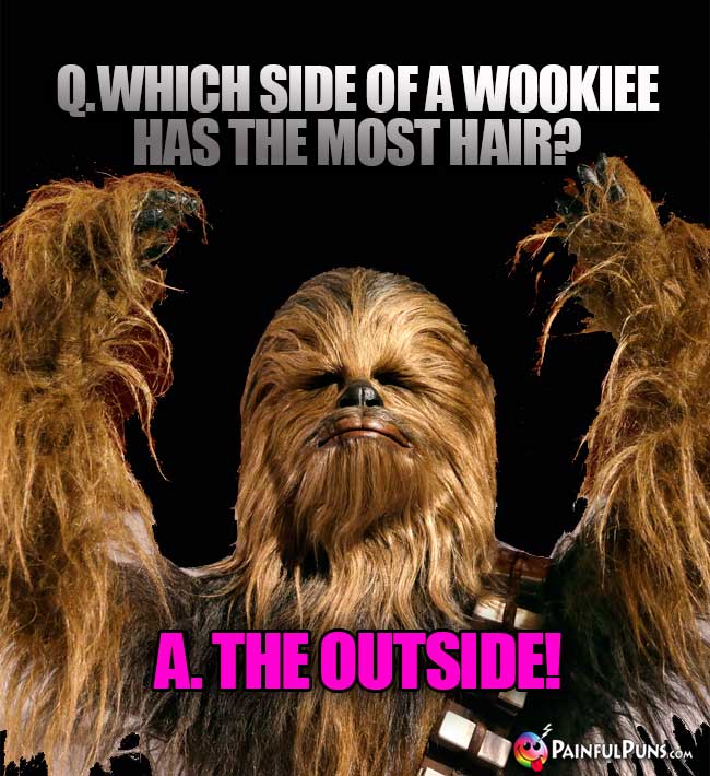 Q. Which side of a Wookiee has the most hair? A. The Outside!