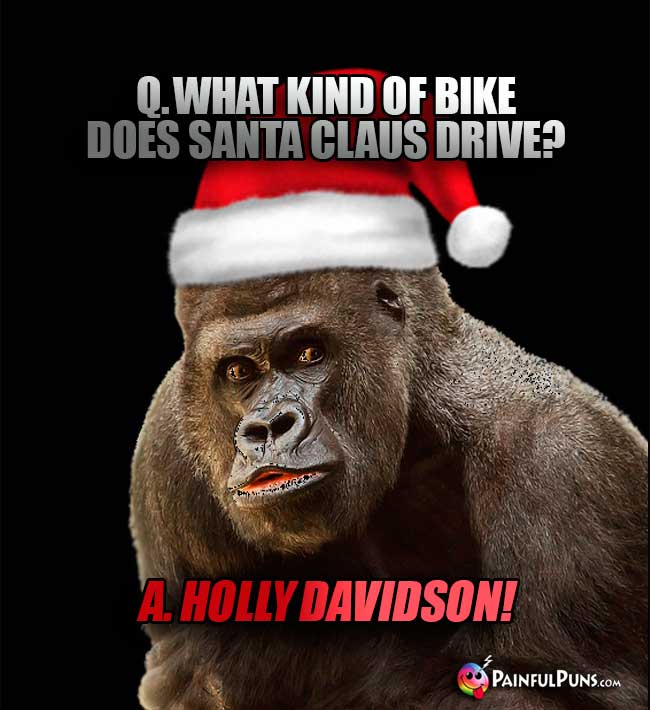 Q. What kind of bike does Santa Claus drive? A. Holly Davidson!