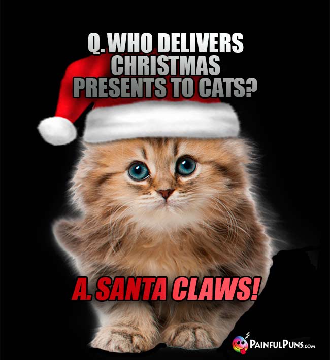 Q. Who delivers Christmas presents to cats? A. Santa Claws!