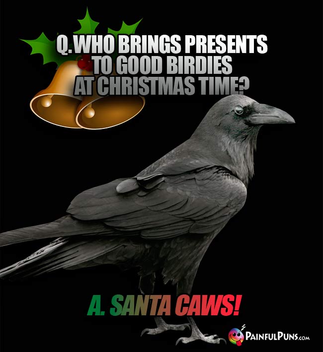 Q. Who brings presents to good birdies at Christmas time? A. Santa Caws!