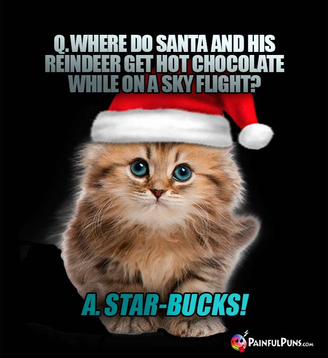 Q. Where do Santa and his reindeer get hot chocolate whle on a sky flight? A. Star-Bucks!