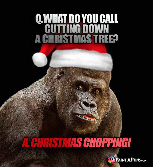 Q. What do you call cutting down a Christmas tree? A. Christmas Chopping!
