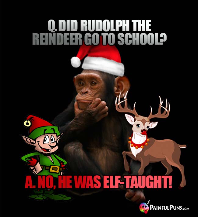 Q. Did Rudolph the reindeer go to school? A. No, he was elf-taught!