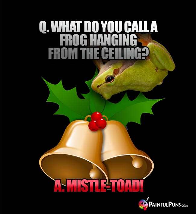 Q. What do you call a frog hanging from the ceiling? A. Mistle-Toad!