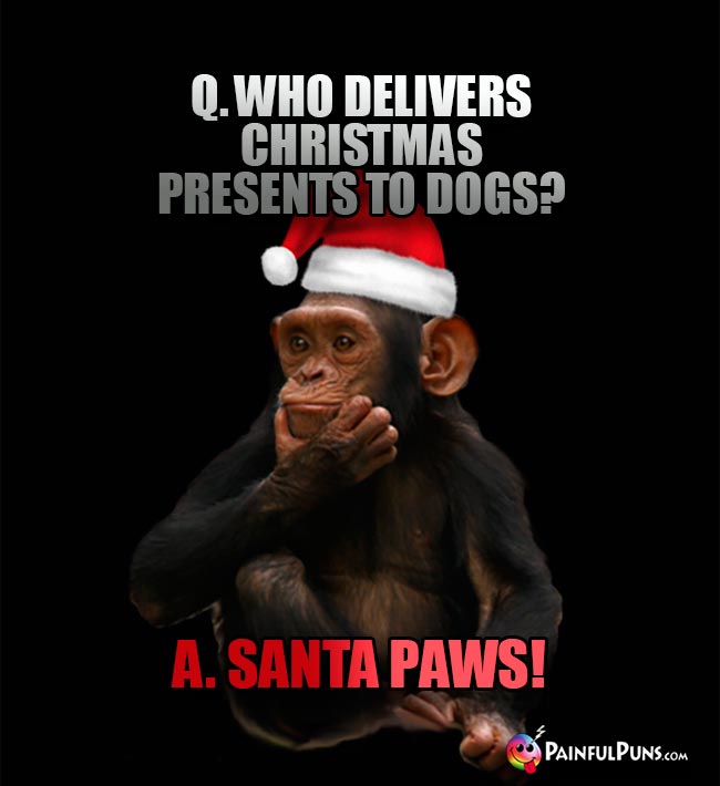 Q. Who delivers Christmas presents to dogs? A. Santa Paws!