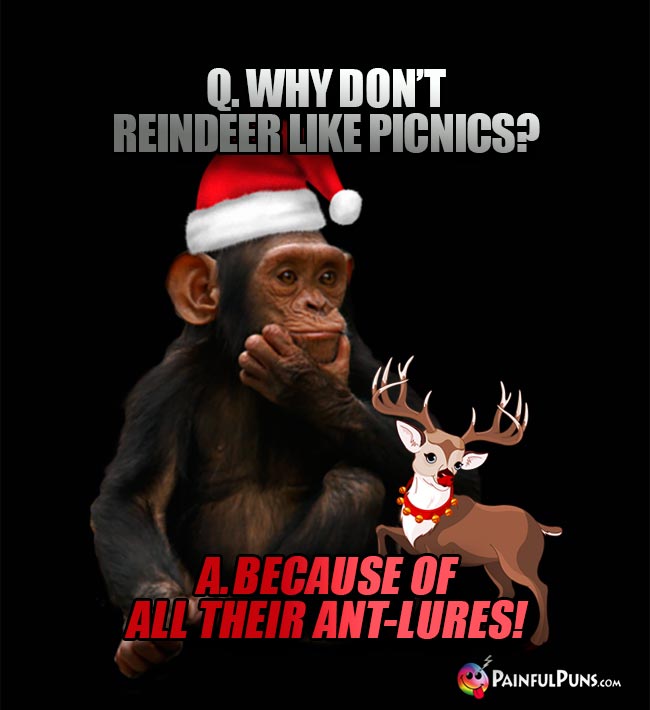 Q. Why don't reindeer like picnics? A. Because of all their ant-lures!