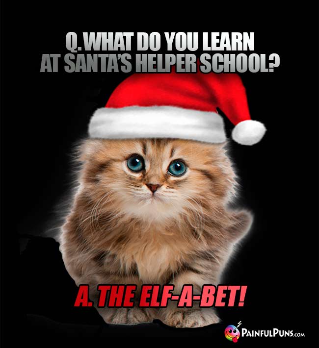 Q. What do you learn at Santa's helper school? A. The Elf-a-bet!