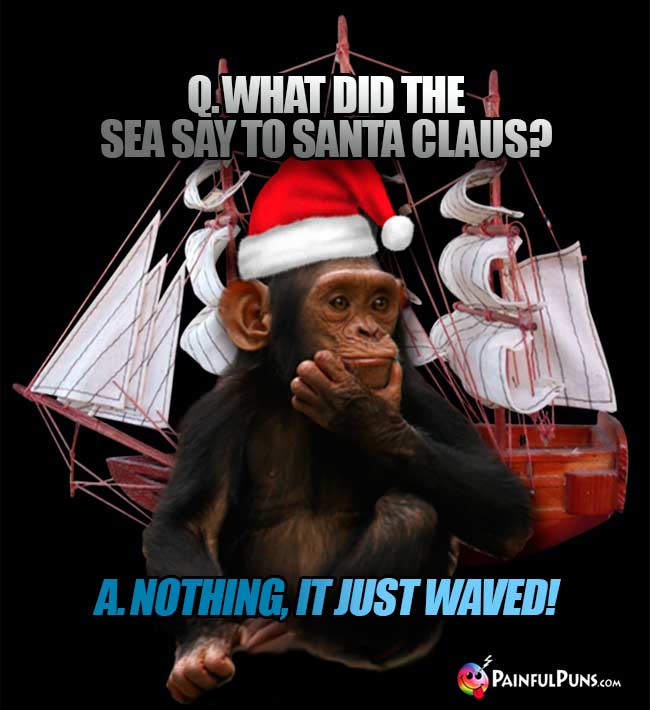 Q. What did the sea say to Santa Claus? A. Nothing, it just waved!