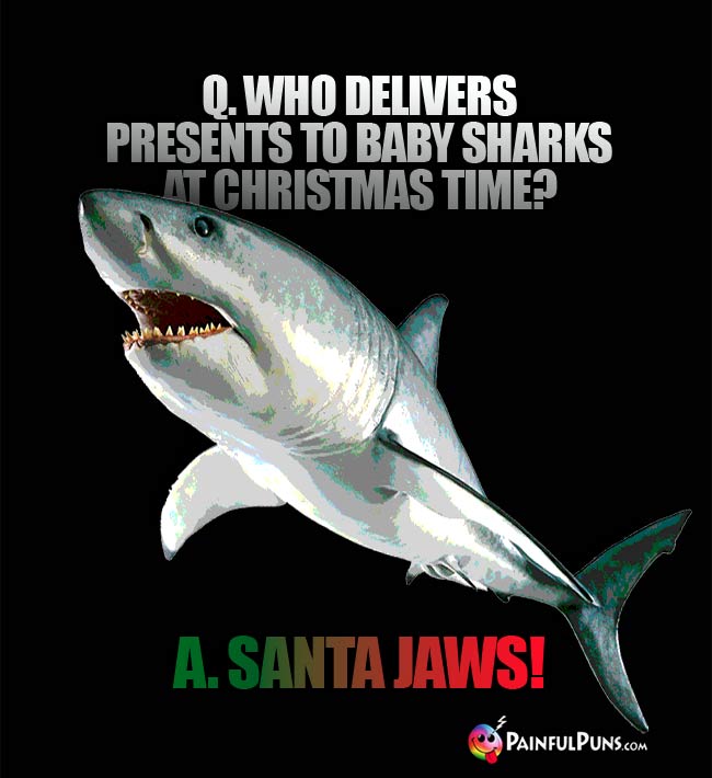 Q. Who delivers presents to baby sharks at Christmas time? A. Santa Jaws!