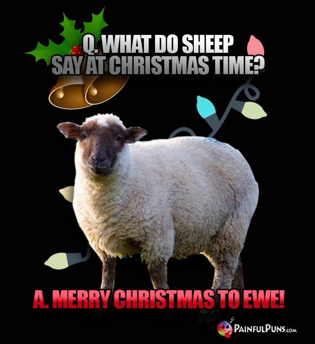 Q. What do sheep say at Christmas time? A. Merry Christmas To Ewe!