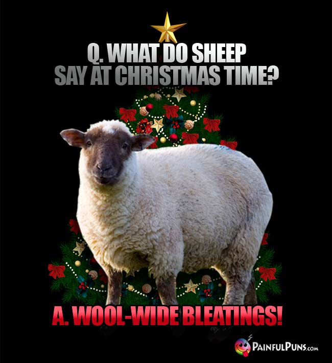 Q. What do sheep say at Christmas time? A. Wool-Wide Bleatings!