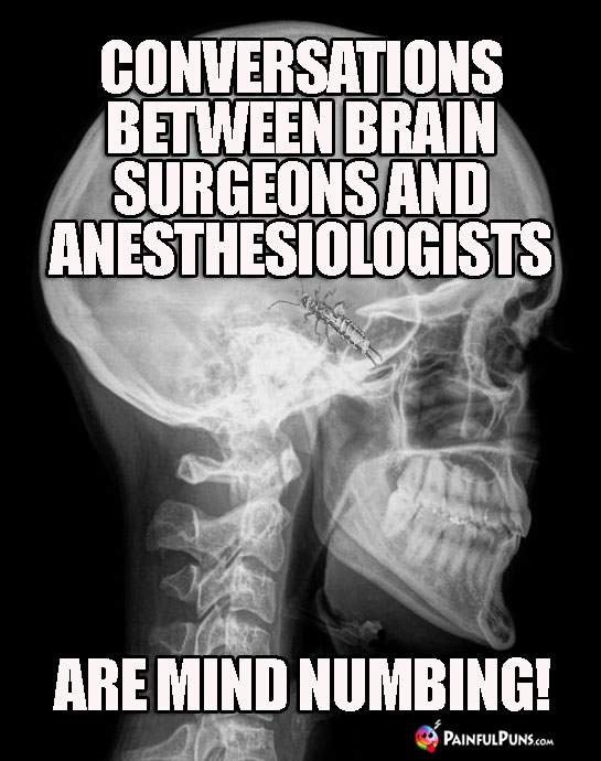 Conversations between brain surgeons and anesthesiologists are mind numbing.