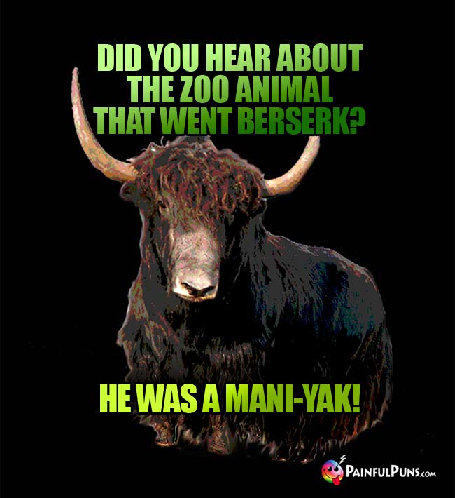 Q. Did you hear about the zoo animal that went berserk? A. He was a mani-yak!