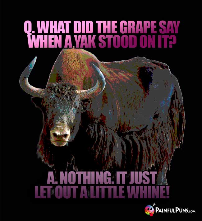 Q. What did the grape say when a Yak stood on it? A. Nothing. It just let out a little whine!