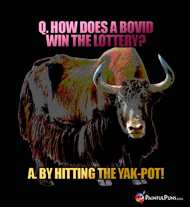Q. How does a bovid win the lottery? A. By hitting the Yak-Pot!