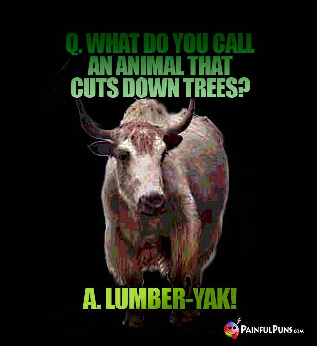 Q. What do you call an animal that cuts down trees? A. Lumber-Yak!