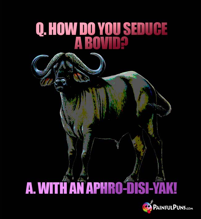 Q. How do you seduce a bovid? A. With an aphro-disi-Yak!